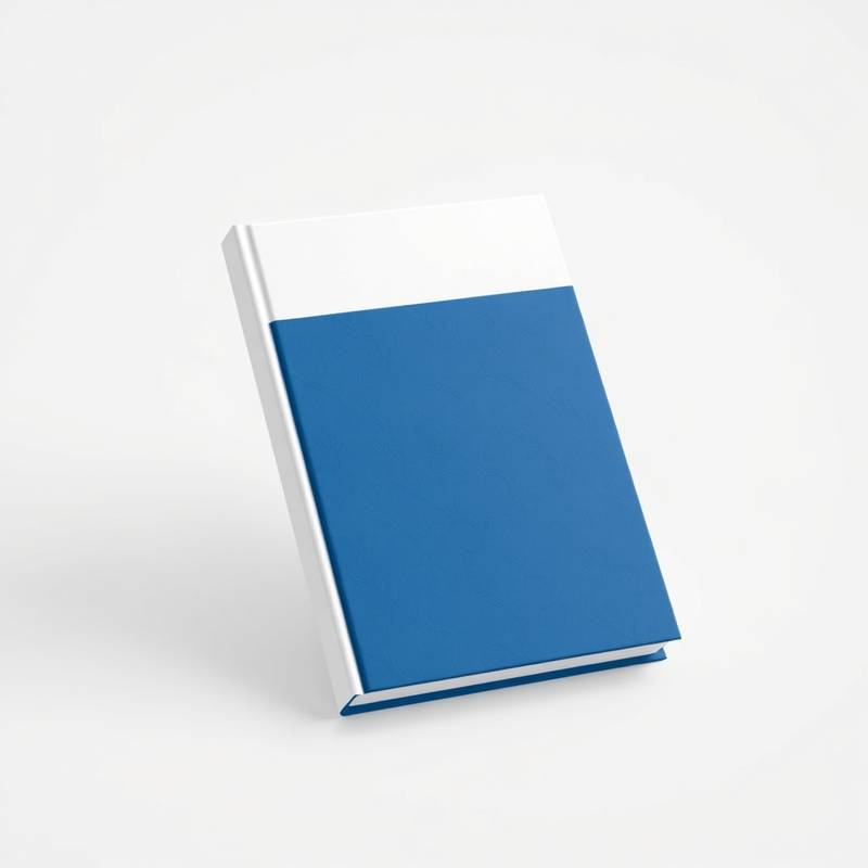 Um livro de capa dura com design minimalista em tons de azul e branco.